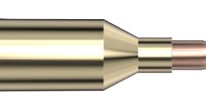 Hornady Superformance.223 WSSM 55 Grain V-Max 20-Round Box
