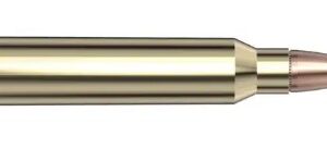 Hornady American White Tail Tipped 300 Winchester Magnum 165 Grain SST 20-Round Box