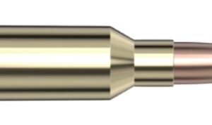 Hornady Custom 6mm ARC 90 Grain CX 20-Round Box