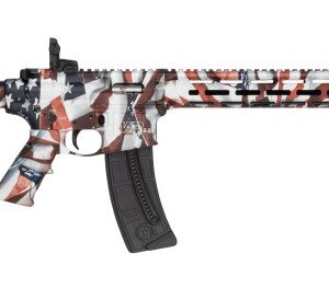 Smith & Wesson M&P15-22 Sport Semi-Automatic Rifle.22 LR 16.5-Inch Barrel