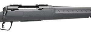 Savage Arms Axis 2 Compact Bolt-Action Rifle 350 Legend Gray Finish