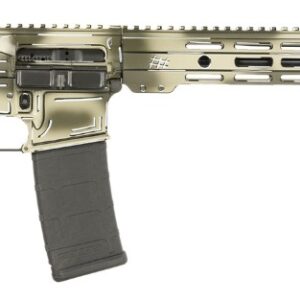 Shark Coast Tactical Anime 15 Semi-Automatic Rifle 5.56