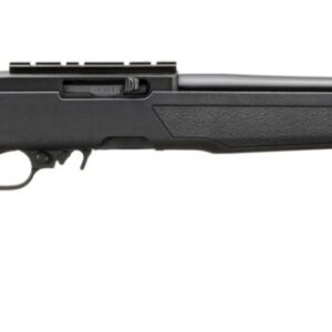 Ruger 10/22 Semi-Automatic Rifle.22 LR 18.5-Inch Barrel Black Finish