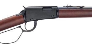 Henry Repeating Arms Lever Action Carbine Lever-Action Rifle.22 LR