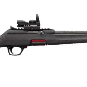 Winchester Wildcat Combo Semi-Automatic Rifle.22 LR Gray Finish