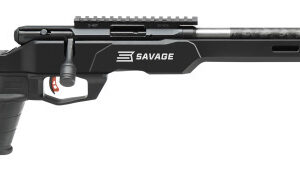 Savage Arms B22 Precision Lite Bolt-Action Rifle 22 LR