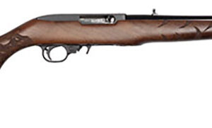 Ruger 10/22 Rifle 22 LR