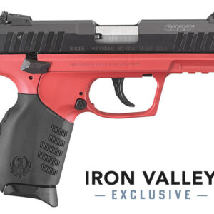 Ruger SR22 Semi-Automatic Pistol 22 LR Black Finish